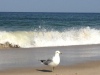 Beautiful Beach