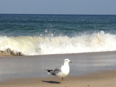 Beautiful Beach